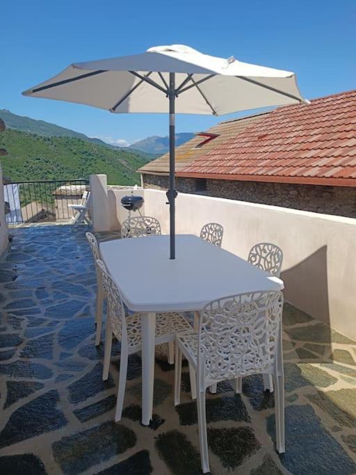 Maison De Charme Proche Bastia Prunelli-di-Casacconi エクステリア 写真